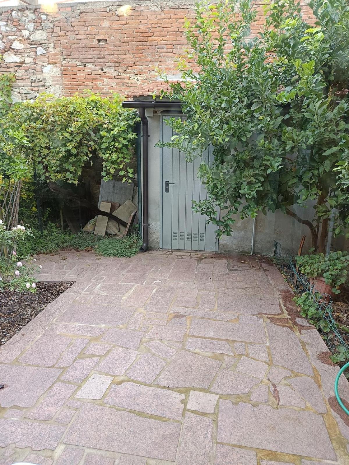 Casa San Michele Leilighet Pisa Eksteriør bilde